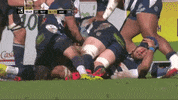 Sua Top14 GIF by Agen Rugby