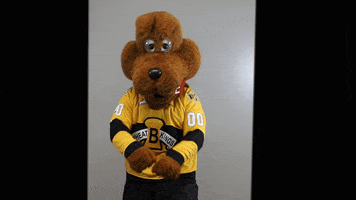 BdnWheatKings kings brandon willie wheat GIF