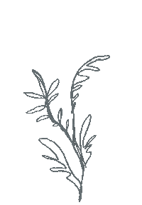 Flower Sticker