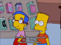 bart simpson episode 20 GIF