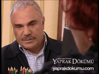 Naz GIF by Yaprak Dökümü