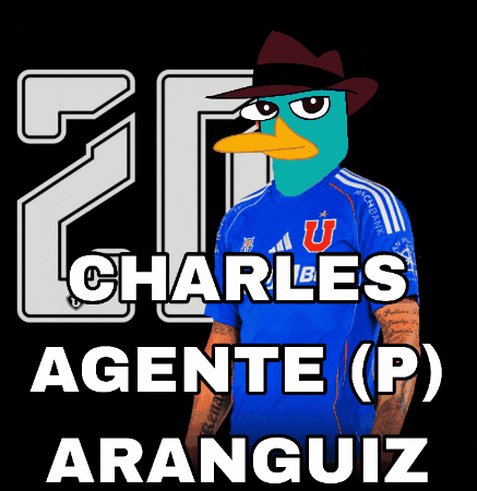 Charles Aranguiz Udechile GIF