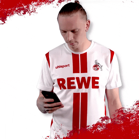 1 Fc Cologne Football GIF by 1. FC Köln