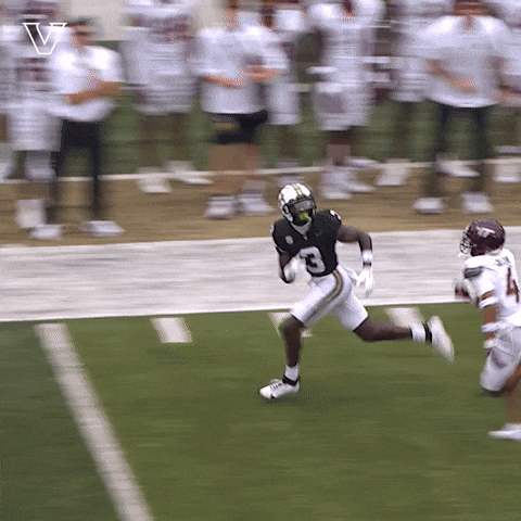 Sport Celebrate GIF by Vanderbilt Athletics