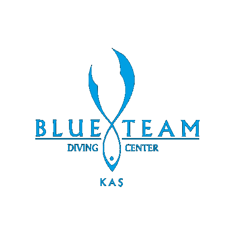 Sticker by Blueteam Dalış