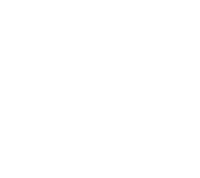 Record Label Vinyl Sticker by Fool's Gold Records