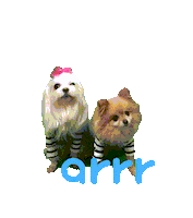 아르르 Sticker by arrr_official