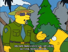 Season 1 GIF by The Simpsons