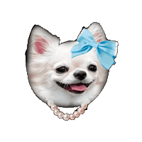 Dog Sticker