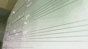 Animated Movie School GIF by Funimation
