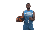 Liga Endesa Basketball Sticker by ACB