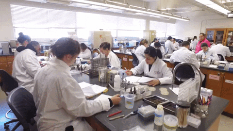 GIF by CSUEBScience