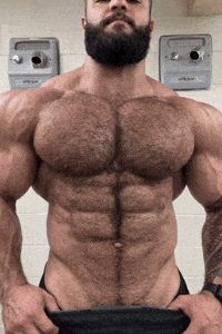 Bear Queer GIF by Database數據