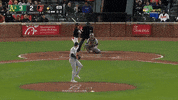 Celebrate Major League Baseball GIF by MLB