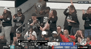National Football League GIF by NFL