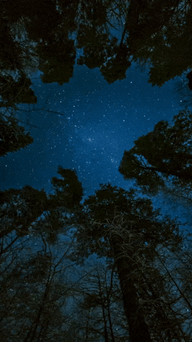 Scripture Messiah GIF