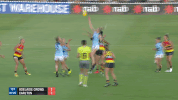 randall GIF by Adelaide Crows