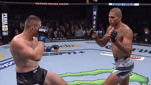 Dinosaurio007 giphyupload GIF