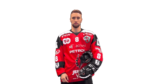 Sport Celebration Sticker by HDD SIJ Acroni Jesenice