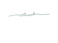 Words Decorate Sticker