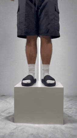 zenhogar giphygifmaker GIF