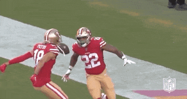2019 Nfl Football GIF by NFL