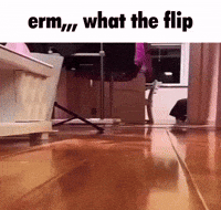 Cute Cat GIF