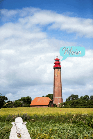 Lighthouse Ostsee GIF by fehmarn.de
