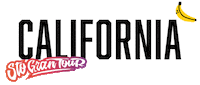 Usa California Sticker by Sto Gran Tour
