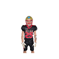 Neu Ulm Football Sticker by neu-ulm-spartans