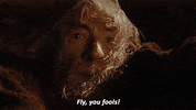 ian mckellen GIF