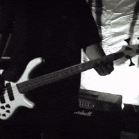 Metal Bass GIF