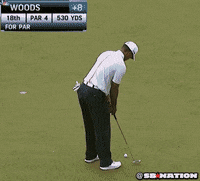 tiger woods GIF by SB Nation