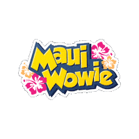 splashlagoon water slide maui wowie splash lagoon splash lagoon water park Sticker