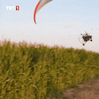 Happy See You GIF by TRT