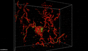 brain cgi GIF by Harvard Medical School