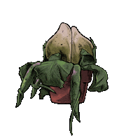 Little Shop Plants Sticker by Little Shop of Horrors