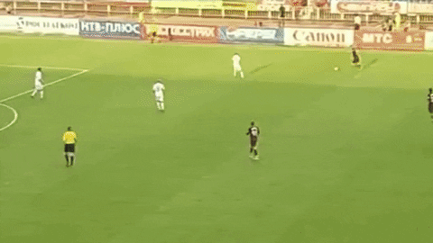 denisromantsov giphyupload паунович GIF