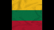 Lithuania Flag GIF by Tilis