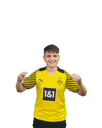 Efootball Eldin Sticker by Borussia Dortmund