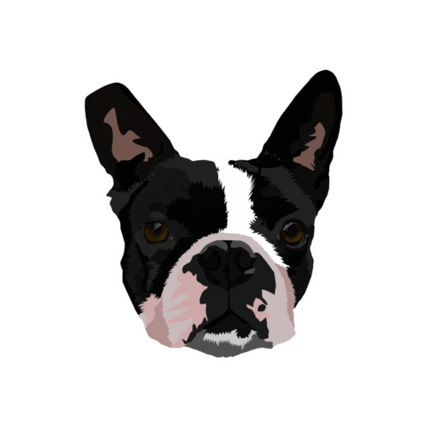je_sappelle_patrick giphygifmaker dog doggo patrick Sticker