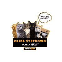 Cat Sticker by Sztosy.co