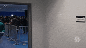 happy marcos rocha GIF by SE Palmeiras