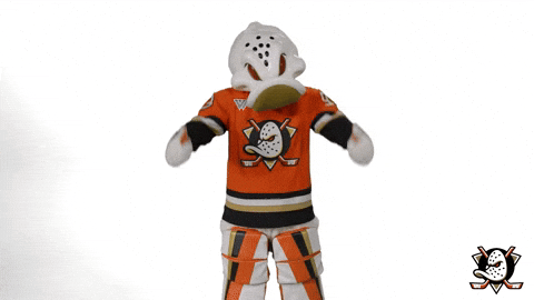 No Problem Yes GIF by Anaheim Ducks