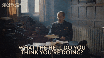 Drama Stop It GIF by All Creatures Great And Small