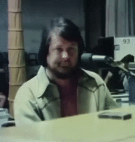 The Beach Boys GIF