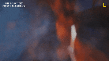 Freezing Nat Geo GIF by National Geographic Channel