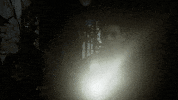 season 5 fox GIF by Gotham