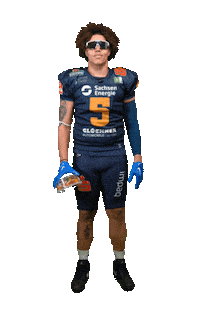 Football Sport Sticker by Dresden Monarchs