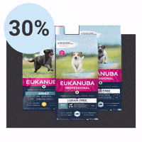 Vetzoomailbf GIF by Vetzoo